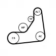 Jeu de courroies trapézoïdales à nervures CONTITECH 6PK1153K5 - Visuel 2