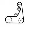 Jeu de courroies trapézoïdales à nervures CONTITECH 6PK1173K1 - Visuel 2