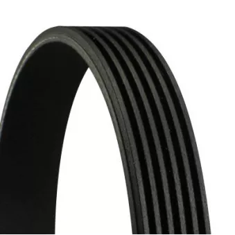 Courroie trapézoïdale à nervures CONTITECH 6PK1179 EXTRA