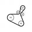 Jeu de courroies trapézoïdales à nervures CONTITECH 6PK1179 EXTRA K1 - Visuel 1
