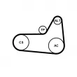 Jeu de courroies trapézoïdales à nervures CONTITECH 6PK1180K4 - Visuel 2