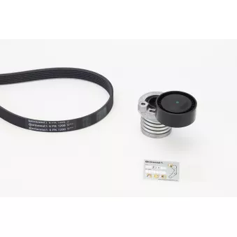 Jeu de courroies trapézoïdales à nervures CONTITECH 6PK1200K3