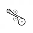 Jeu de courroies trapézoïdales à nervures CONTITECH 6PK1230K1 - Visuel 2