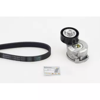 Jeu de courroies trapézoïdales à nervures CONTITECH 6PK1244K2