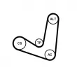 Jeu de courroies trapézoïdales à nervures CONTITECH 6PK1244K2 - Visuel 2