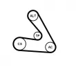 Jeu de courroies trapézoïdales à nervures CONTITECH 6PK1270K1 - Visuel 2