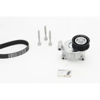 Jeu de courroies trapézoïdales à nervures CONTITECH 6PK1306K2