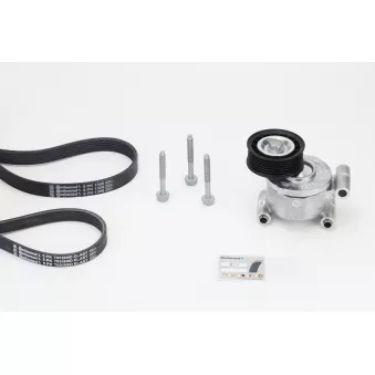 Jeu de courroies trapézoïdales à nervures CONTITECH 6PK1306K3