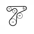 Jeu de courroies trapézoïdales à nervures CONTITECH 6PK1345K3 - Visuel 2