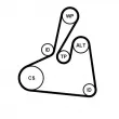 Jeu de courroies trapézoïdales à nervures CONTITECH 6PK1502 EXTRA K2 - Visuel 2