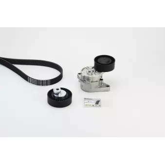 Jeu de courroies trapézoïdales à nervures CONTITECH 6PK1538K1
