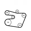 Jeu de courroies trapézoïdales à nervures CONTITECH 6PK1538K1 - Visuel 2