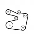 Jeu de courroies trapézoïdales à nervures CONTITECH 6PK1555K2 - Visuel 2