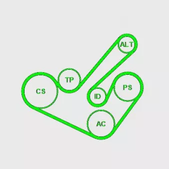 Jeu de courroies trapézoïdales à nervures CONTITECH 6PK1555K9