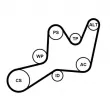 Jeu de courroies trapézoïdales à nervures CONTITECH 6PK1605K1 - Visuel 2