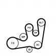 Jeu de courroies trapézoïdales à nervures CONTITECH 6PK1642K1 - Visuel 2