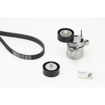 Jeu de courroies trapézoïdales à nervures CONTITECH 6PK1660K5