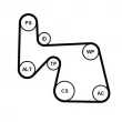 Jeu de courroies trapézoïdales à nervures CONTITECH 6PK1670K1 - Visuel 2