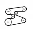 Jeu de courroies trapézoïdales à nervures CONTITECH 6PK1698K1 - Visuel 2