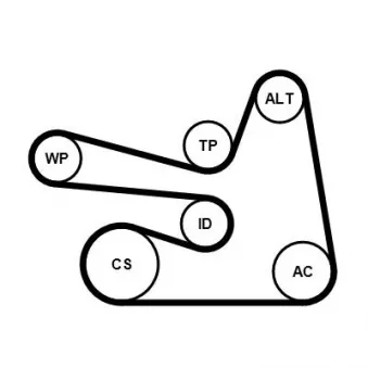 Jeu de courroies trapézoïdales à nervures CONTITECH 6PK1705K3