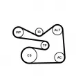 Jeu de courroies trapézoïdales à nervures CONTITECH 6PK1733K3 - Visuel 2