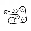Jeu de courroies trapézoïdales à nervures CONTITECH 6PK1830K1 - Visuel 2