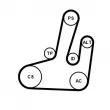 Jeu de courroies trapézoïdales à nervures CONTITECH 6PK1845K1 - Visuel 1