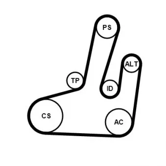 Jeu de courroies trapézoïdales à nervures CONTITECH 6PK1845K1