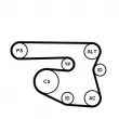 Jeu de courroies trapézoïdales à nervures CONTITECH 6PK1870K1 - Visuel 2