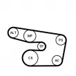 Jeu de courroies trapézoïdales à nervures CONTITECH 6PK1873K3 - Visuel 2