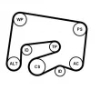 Jeu de courroies trapézoïdales à nervures CONTITECH 6PK2000K1 - Visuel 2