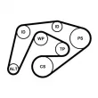 Pompe à eau+Jeu de courroie trapézoïdale à nervures CONTITECH 6PK2260WP1 - Visuel 2