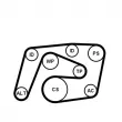 Pompe à eau+Jeu de courroie trapézoïdale à nervures CONTITECH 6PK2260WP3 - Visuel 2