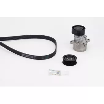 Jeu de courroies trapézoïdales à nervures CONTITECH 6PK2271K1