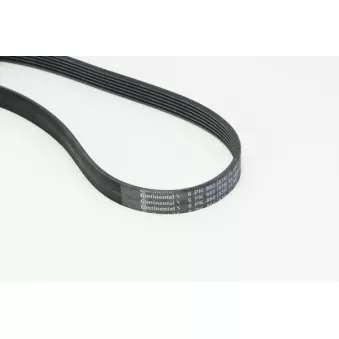 Courroie trapézoïdale à nervures CONTITECH 6PK860 ELAST