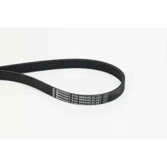Courroie trapézoïdale à nervures CONTITECH 6PK868 ELAST