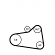 Pompe à eau+Jeu de courroie trapézoïdale à nervures CONTITECH 6PK905 EXTRA WP1 - Visuel 2
