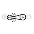 Jeu de courroies trapézoïdales à nervures CONTITECH 6PK922 EXTRA K1 - Visuel 2