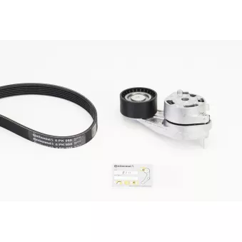 Jeu de courroies trapézoïdales à nervures CONTITECH 6PK986K1