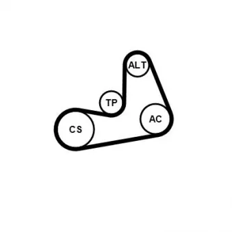 Jeu de courroies trapézoïdales à nervures CONTITECH 6PK986K2