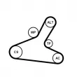 Jeu de courroies trapézoïdales à nervures CONTITECH 7PK1165K1 - Visuel 2