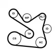 Pompe à eau+Jeu de courroie trapézoïdale à nervures CONTITECH 7PK1605WP1 - Visuel 2