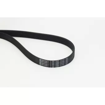 Courroie trapézoïdale à nervures CONTITECH 7PK1685 EXTRA