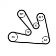 Pompe à eau+Jeu de courroie trapézoïdale à nervures CONTITECH 7PK1687WP1 - Visuel 1