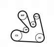 Jeu de courroies trapézoïdales à nervures CONTITECH 7PK1705K1 - Visuel 2
