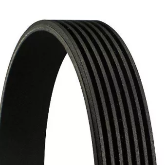 Courroie trapézoïdale à nervures CONTITECH 7PK990