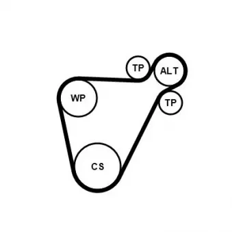 Jeu de courroies trapézoïdales à nervures CONTITECH 8PK954 EXTRA K1