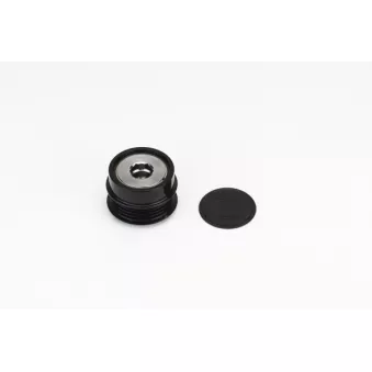 Poulie roue libre, alternateur CONTITECH AP9119