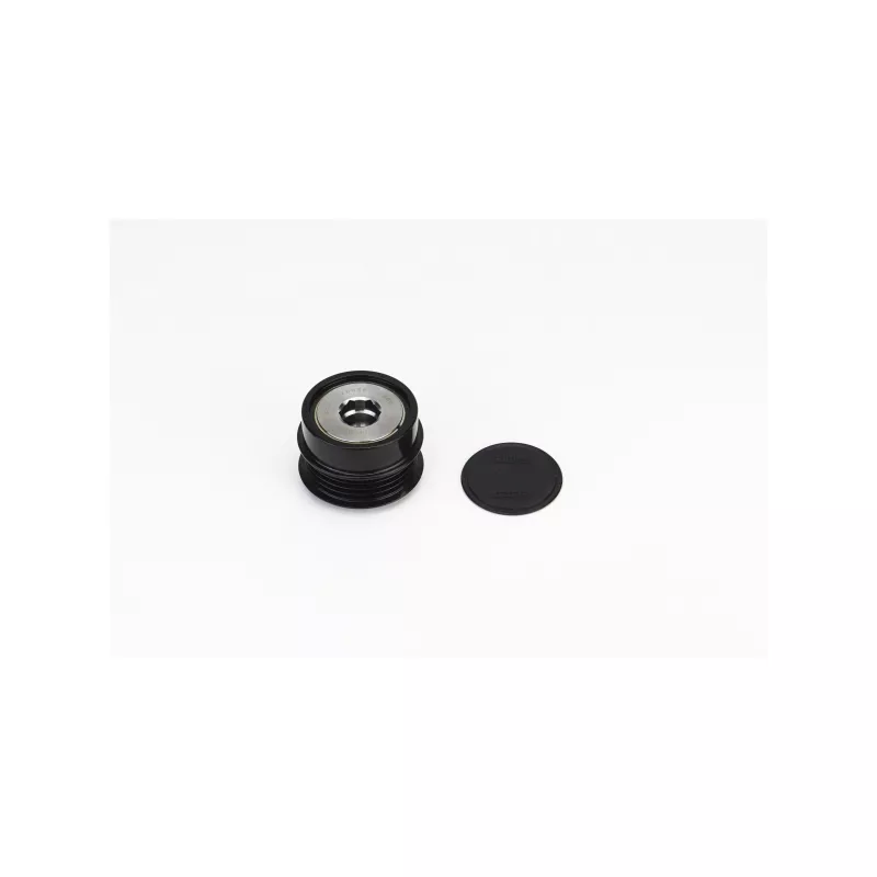 Poulie roue libre, alternateur CONTITECH AP9119