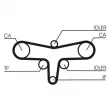 Kit de courroie crantée CONTITECH CT1117K3 - Visuel 2